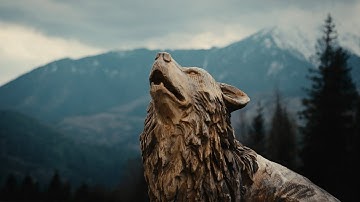 Lumix S5II Firmware V3.0 E-Stabilization Cinematic Test