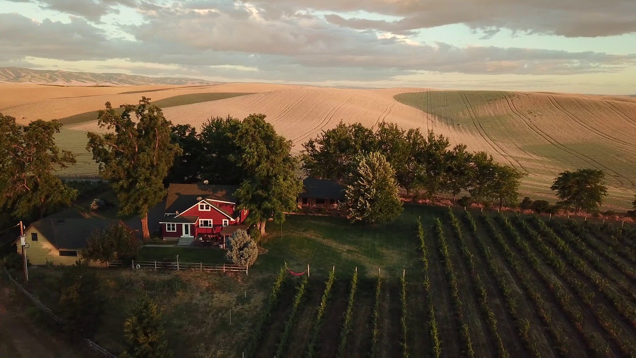 Armstrong Vineyard Cottage YouTube