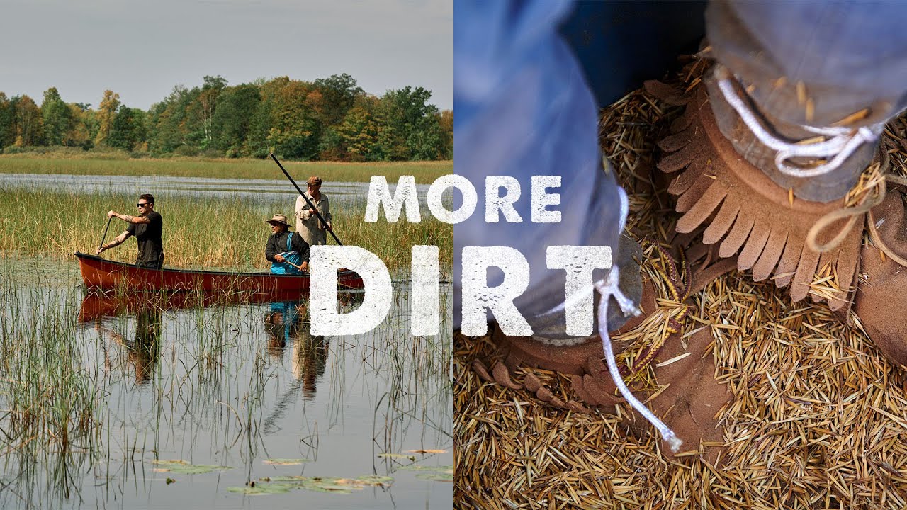 Minnesota Wild Rice Harvest: A Beginner's Guide to Manoomin ...