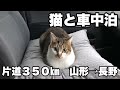 【車中泊】『山形⇒長野』片道３５０㎞の車中泊旅。長野の家に帰るため、DIYしたキャンピングカー仕様っぽいハイエースで、猫のマサと一緒に車中泊と車中飯。