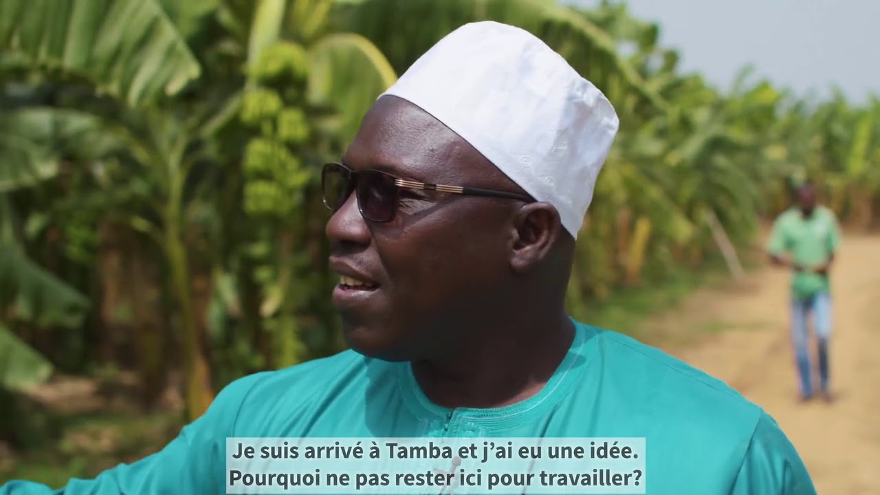 Mouhamed Mangane, propriétaire et gérant d’une plantation de bananes à Gouloumbou (Tambacounda)