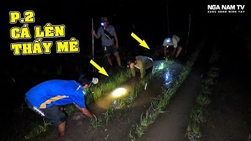 Săn Bắt Chuột, Bắt Cá Lên Đầu Mùa Trúng Miếng Ruộng Cá Thấy Mê Bắt Chuột Cực Vui P.2/NGÃ NĂM TV