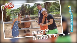 【食尚玩家】開箱新竹市立動物園 幫河馬樂樂刷牙餵西瓜 網路獨家 20200901 #23