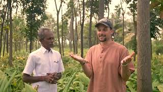 Sadhguru's Plan to plant 2 42 BILLION trees