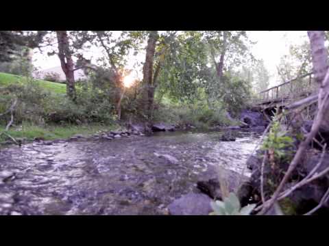 2000 Silvercreek, Boise, ID home video tour