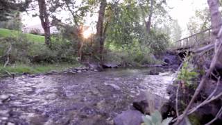 2000 Silvercreek video tour