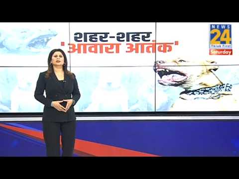 शहर-शहर कुत्तों का आतंक ! कुत्तों की परेशानी बड़ी भारी ! | Stray Dogs Attacks | News 24