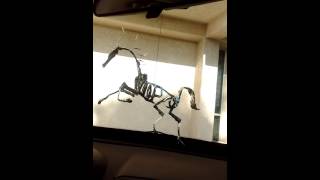 Twist tie silver horse