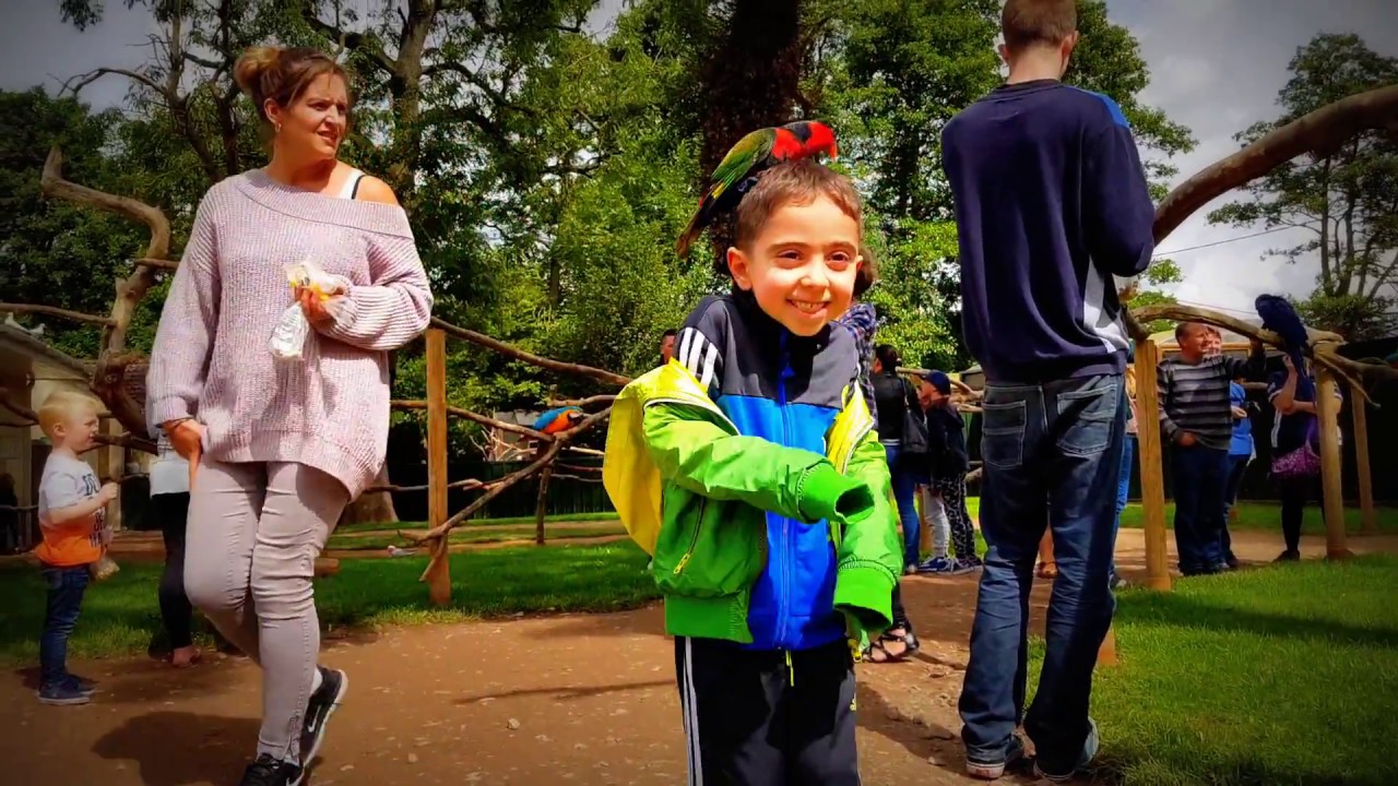 Tropical Birdland leicester city - YouTube WaseemoTubeHD