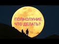 ПОЛНОЛУНИЕ | О чём задуматься? #расклад