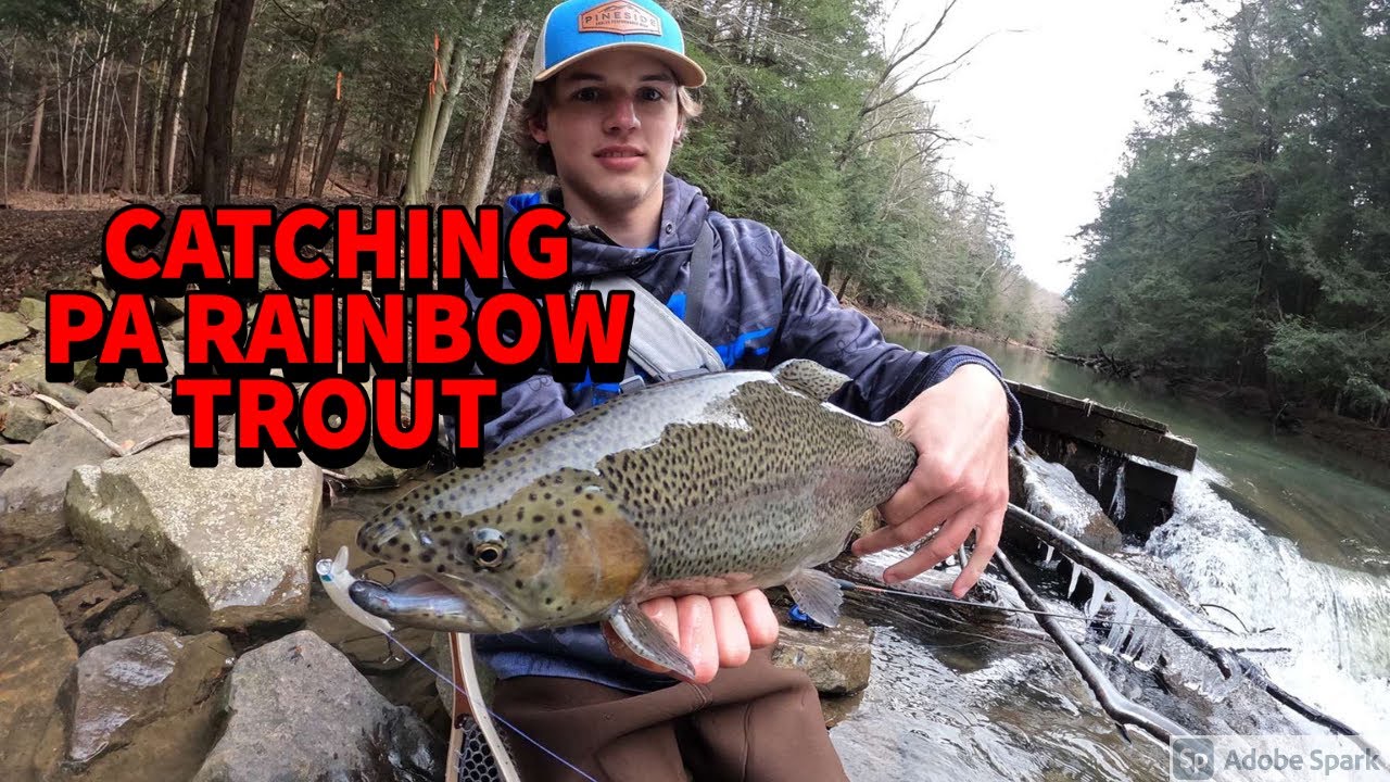 Catching PA Rainbow Trout! Yellow Creek Trout Club ! YouTube