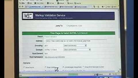 Web accessibility and the W3C guidelines