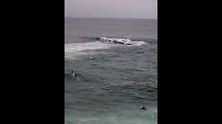 Body boarding Fisherman's Cove / Boat Canyon - Laguna Beach on June 6th 2026
