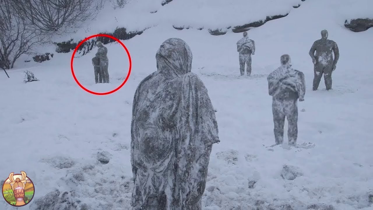 Ce Qu'ils Ont Filmé Va Vous Choquer !
