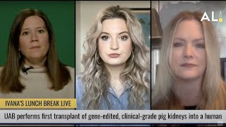 UAB successfully completes first transplant with genetically-modified pig kidneys into a human