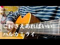 これさえあればいい / ハルカミライ【cover】