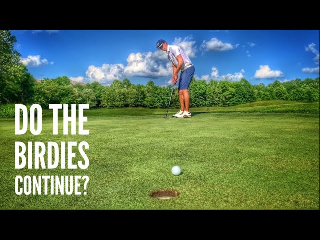 Can I Go Bogey Free? | Back 9 Practice Round At Greystone Golf Club