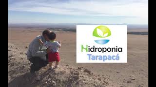 Proyecto Hidroponia Tarapaca