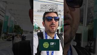 Perché la COP28 si è tenuta negli Emirati Arabi?