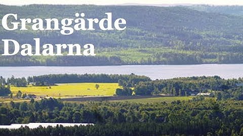 Dalmål: Grangärde, ung man orolig för avfolkning