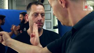VingTsun / Wing Chun - Seminar to guest Sifu Evangelos Vasilakis screenshot 4
