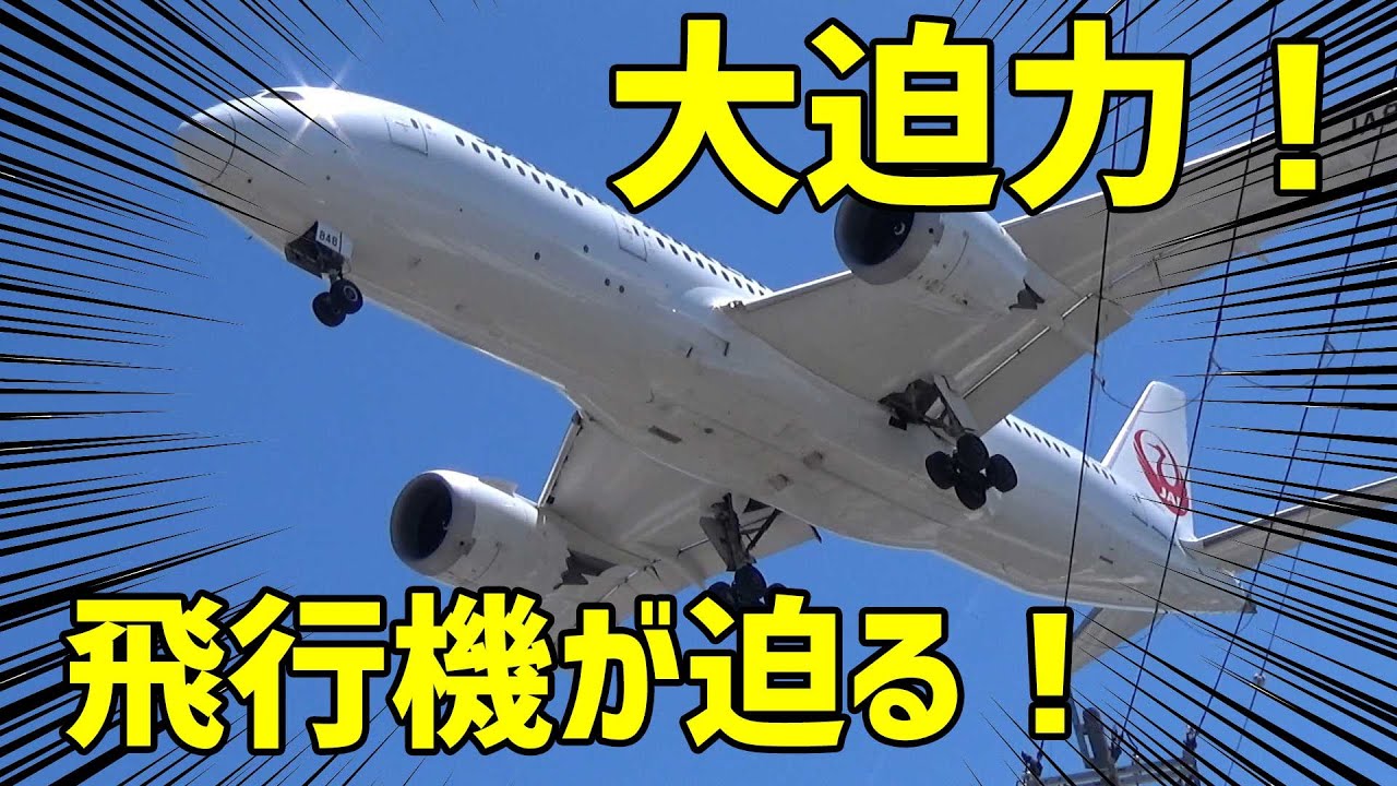 大迫力！旅客機が真上を通る！行き方案内付き in 千里川土手