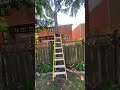  #treecutting #landscaping #treeremoval #arborist #explore
