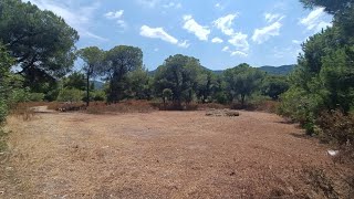 Land for sale in Vourvourou Halkidiki