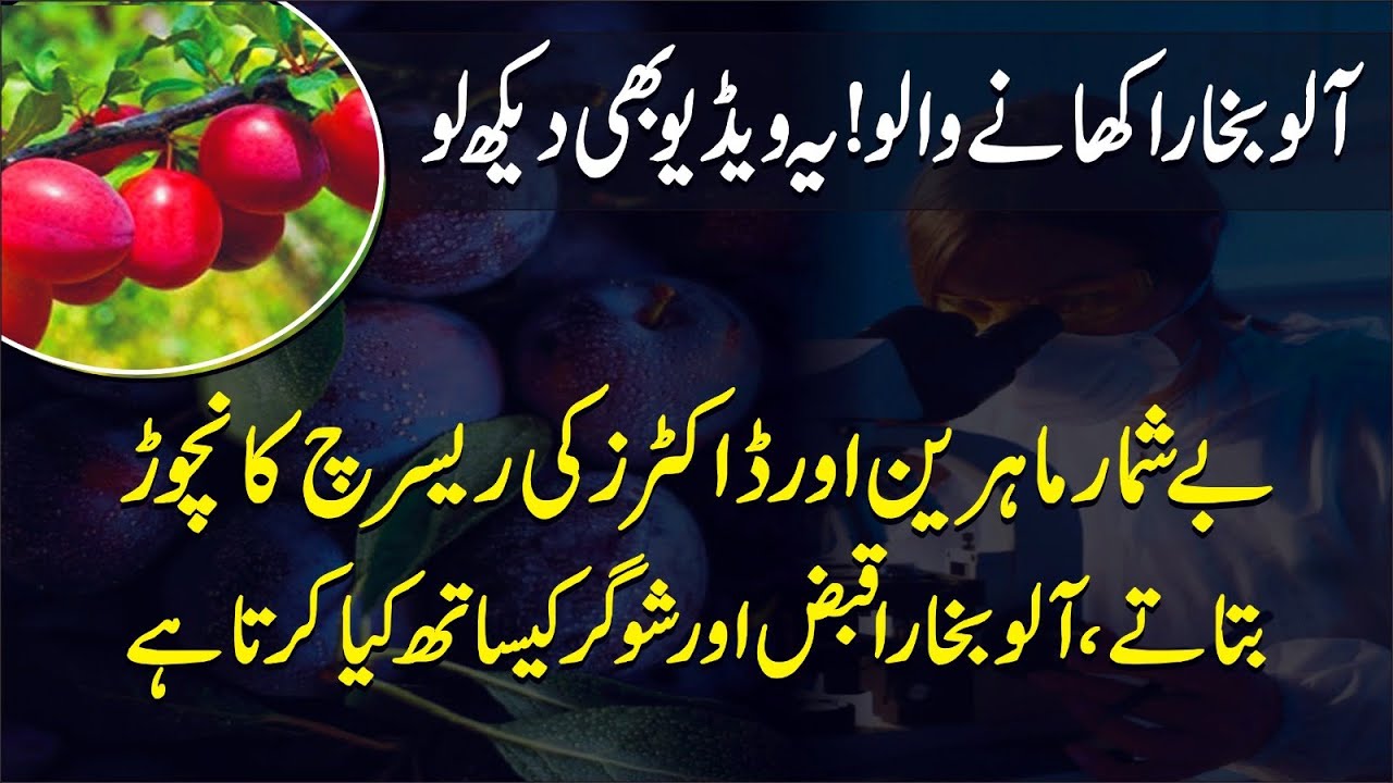 aloo bukhara ke fayde in urdu & Hindi benefits of plum fruit in urdu & hindi Learning Cover