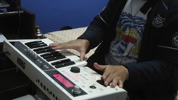 Korg MicroX, some of my sounds in the favorites bank