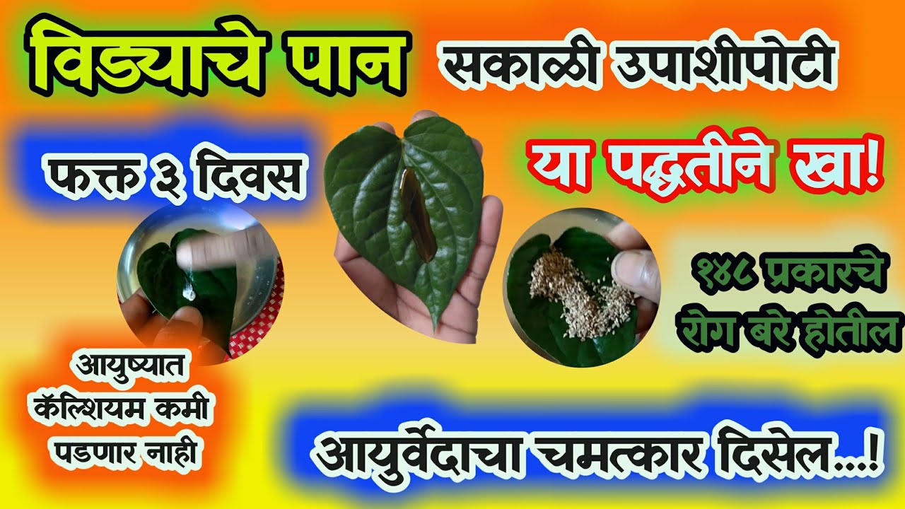 विड्याचे पान सकाळी उपाशीपोटी फक्त ३ दिवस खा आयुर्वेदाचा चमत्कार दिसेल ...