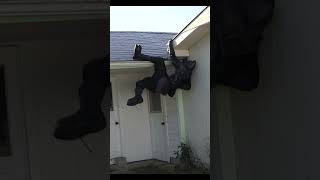 fake parkour #ninja #training #foryou #funny #parkour