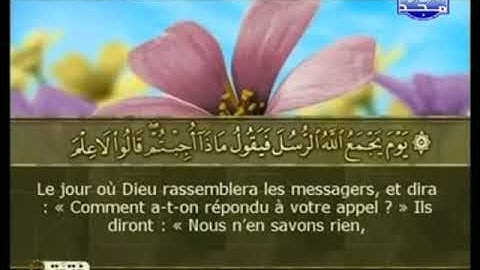 تلاوة الجزء السابع القارئ سعد الغامدي