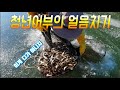 청년어부의 얼음치기 클라쓰! (Feat.한탄강 토르) /Fisherman's Ice Striking Fish