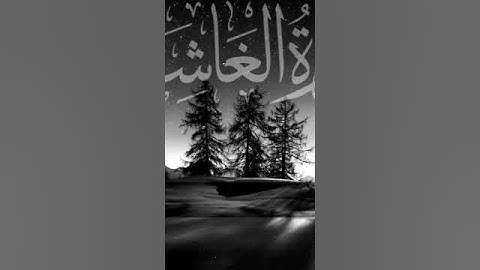 سورة الغاشيه بصوت القارئ شريف مصطفى ♥️