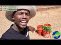Start a Garden | Step-by-Step | Gardening Tips