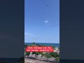 seagulls and mini drone #shorts #short #spain #drone #minidrone #seagulls