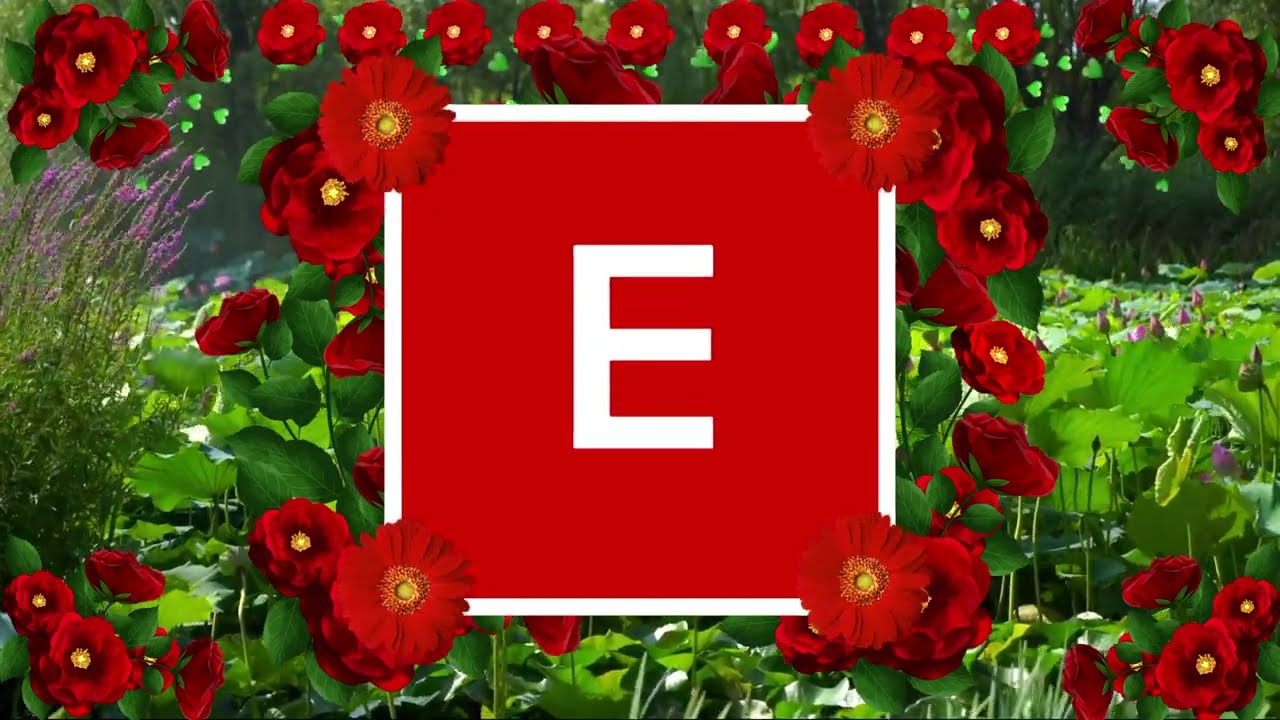 Letter E Love Status 
