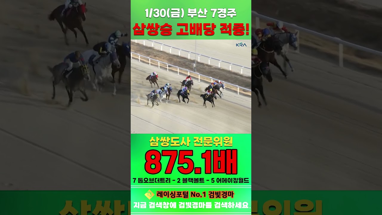 [부산 경마] 1월 30일 금요 7경주 삼쌍도사 전문위원 삼쌍승 고배당 적중 #한국마사회 #automobile #경마 #horse #하이라이트 #비트코인 #게임 #riding