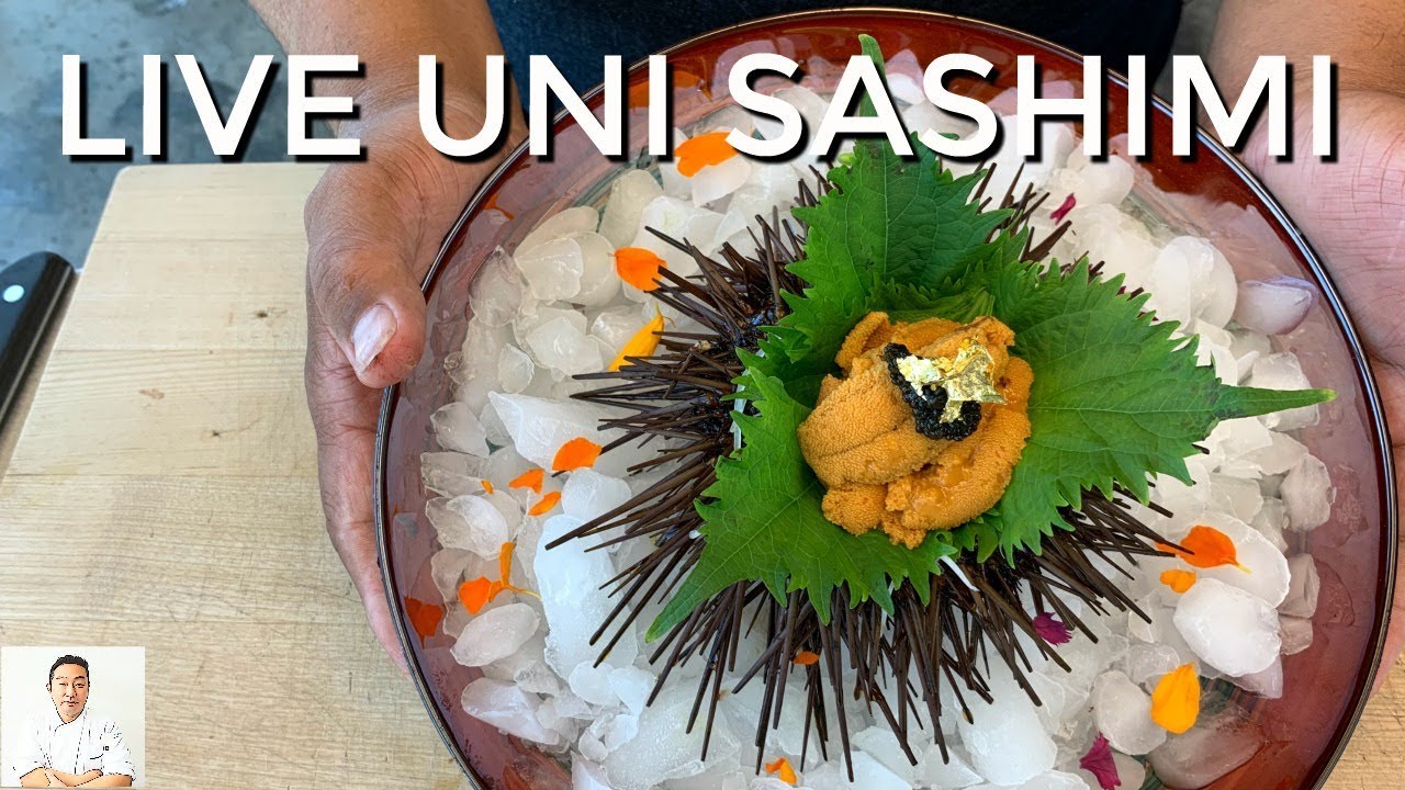 hiroyuki terada guinness LIVE MOVING Fresh Uni! | Simple Elegant Sashimi