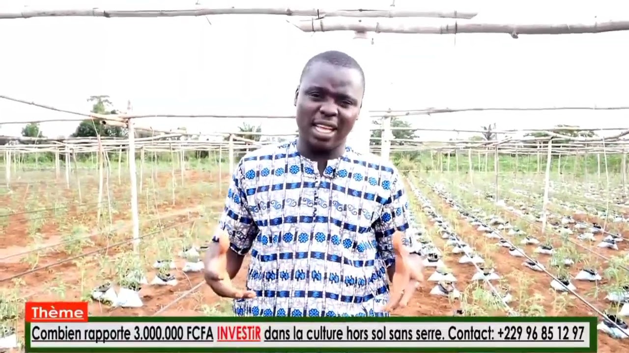 4500€ INVESTIR dans l'Agriculture hors sol rapporte combien au plan réel