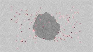Cellular Potts Model simulation
