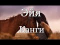 #лошади Канги-Эйя клип конный спорт