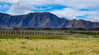 Atravesando el camino celestial: entre olas de cebada, el tren se encamina a Xigaze