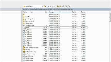 How to set permissions on any app iPhone iPod