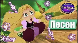 🎶Светът е пред нас| Приключенията на Рапунцел и разбойника | Disney Channel Bulgaria 🎶Светът е пред нас| Приключенията на Рапунцел и разбойника | Disney Channel Bulgaria