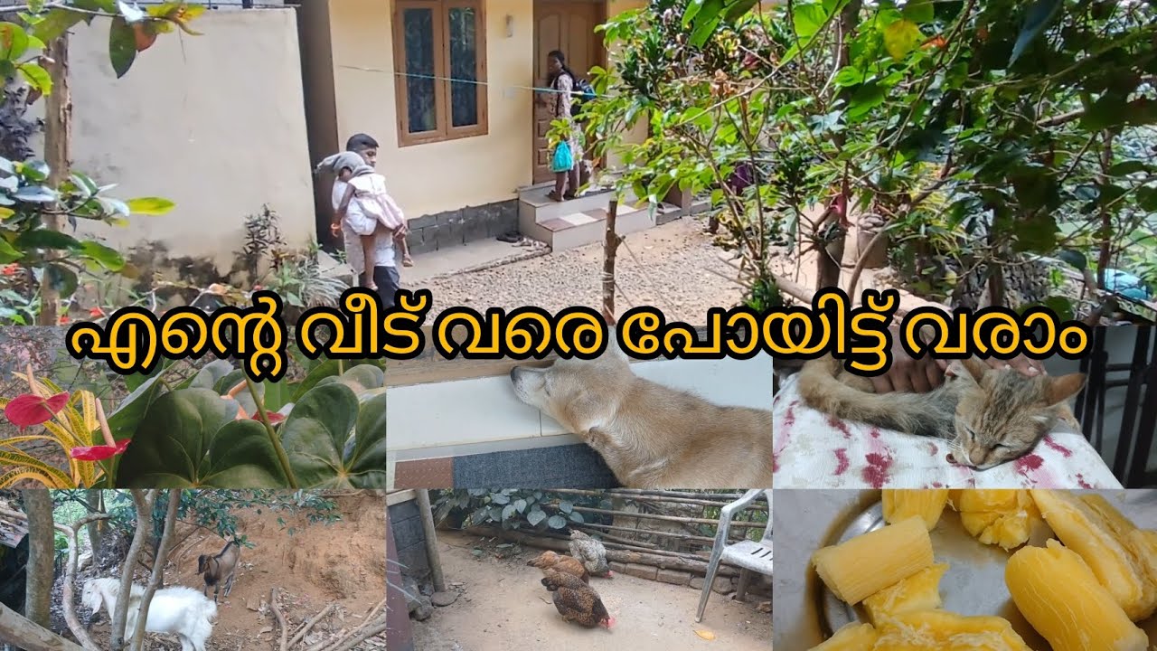 ഞാൻ എന്റെ വീട്ടിൽ പോകുന്നു#youtubvlog#familyvlog