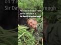 How has David Attenborough inspired YOU?