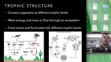 Northside Science - Trophic Structure