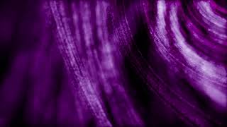 PURPLE FIBER VORTEX | FREE BACKGROUND MOTION GRAPHICS | FULL HD | Relaxing Video